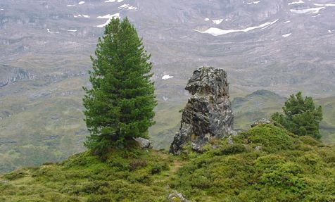 Engstlenalp