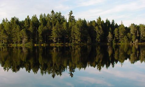 Etang de la Gruère