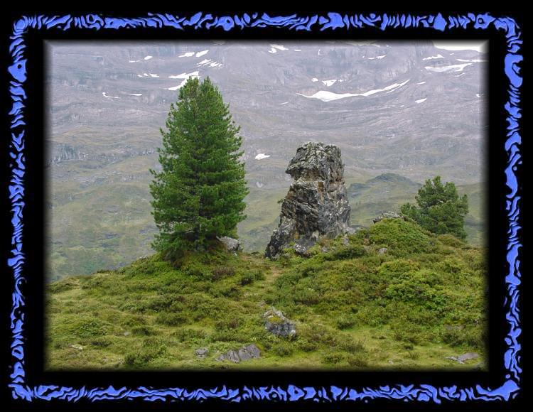 Kraftplatz auf der Engstlenalp Der Kraftplatz auf der Engstlenalp