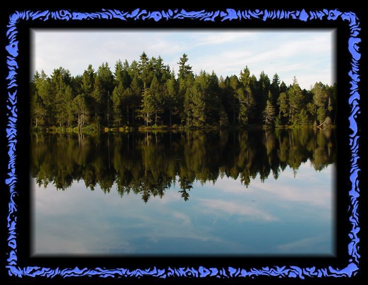 Etang de la Gruère