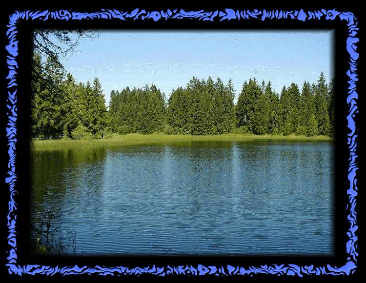 Etang de la Gruère - Blick auf den See