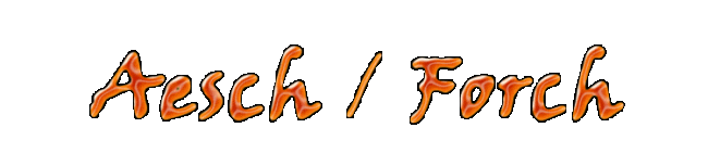 Aesch / Forch