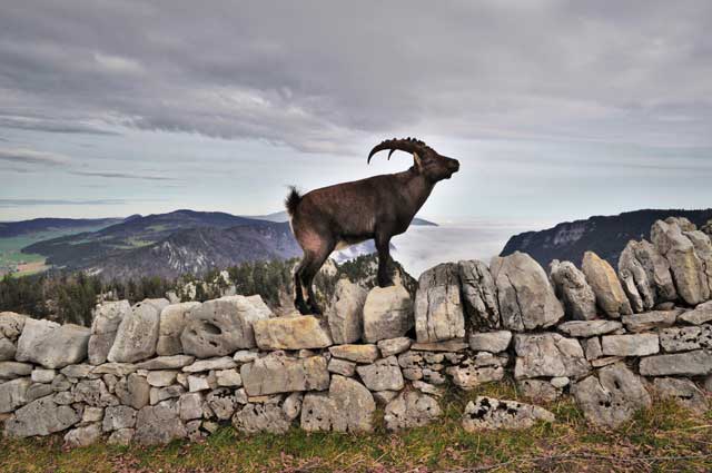 Backpacking in Switzerland